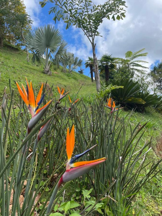 Rancho Do Paioleiro - Suites São Bento do Sapucaí Esterno foto